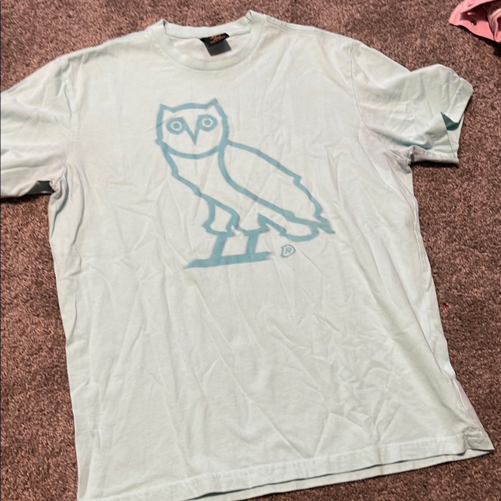 Light Blue T-Shirt with Owl Design